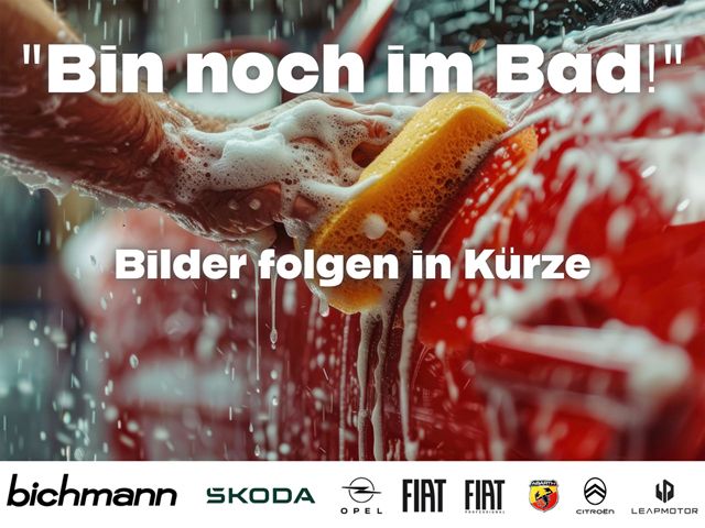 Skoda Fabia 6.000 km 19.990 &euro; Menden 58706