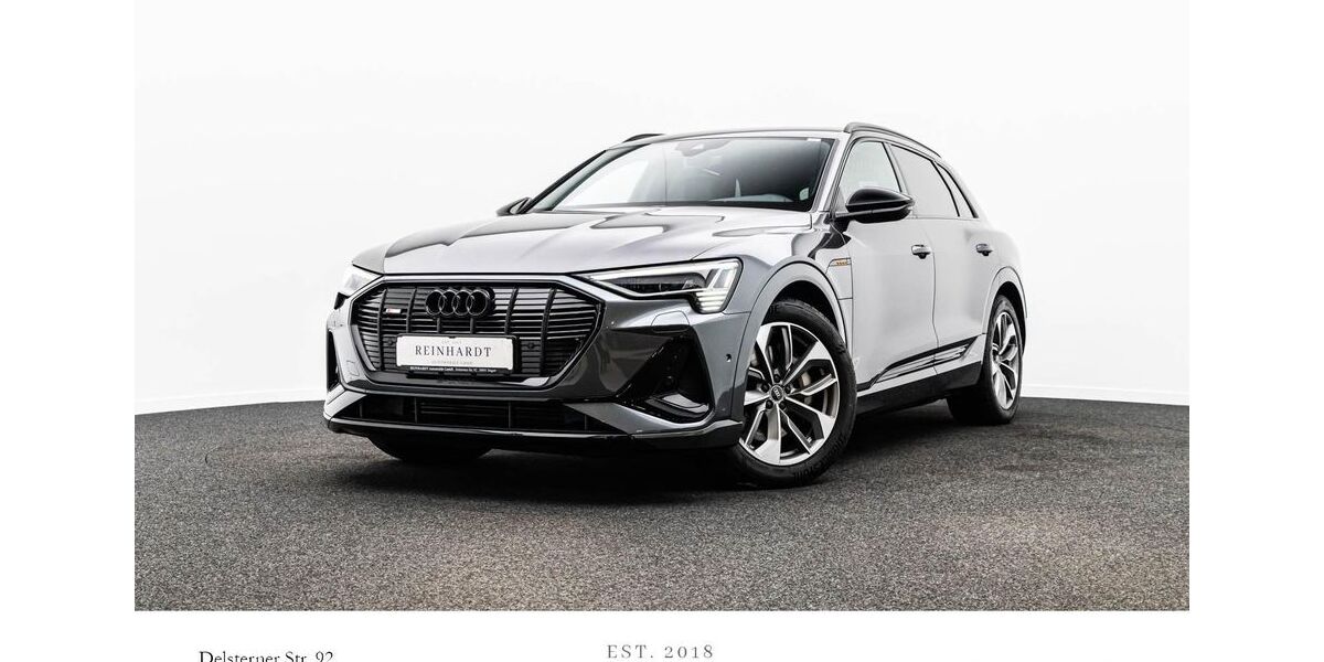 Audi e-tron 41.352 km 34.895 &euro; Hagen 58091