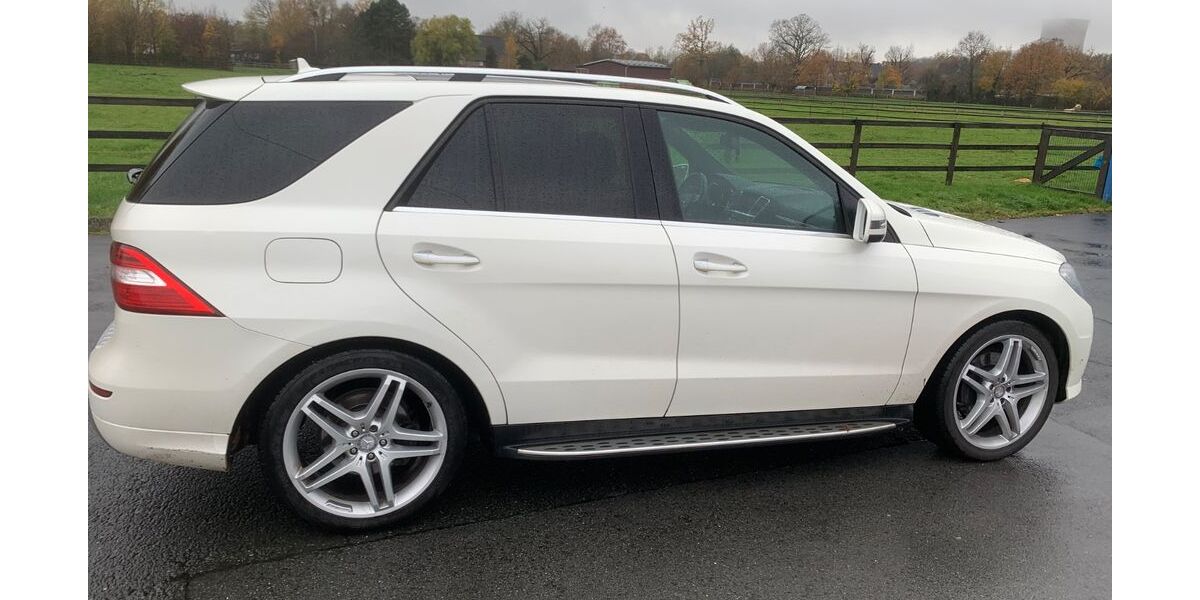 Mercedes-Benz ML 350 219.000 km 19.900 &euro; Hamm 59077