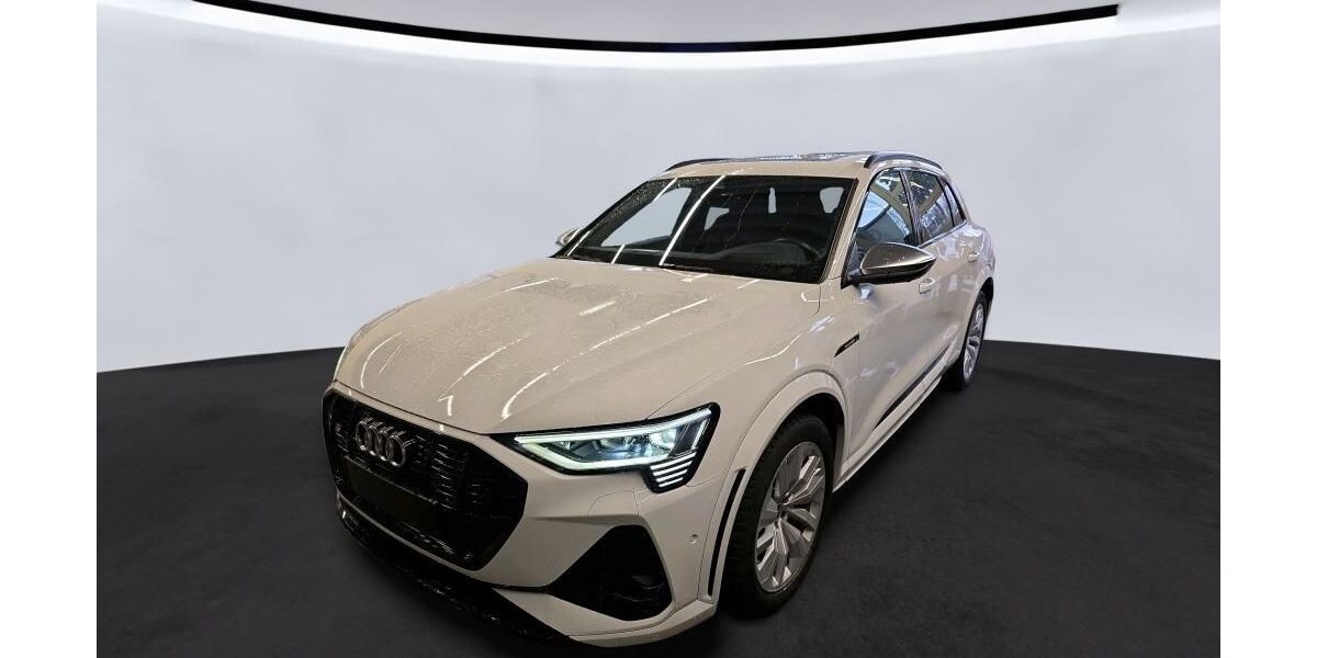 Audi e-tron 24.171 km 43.900 &euro; Hagen 58091